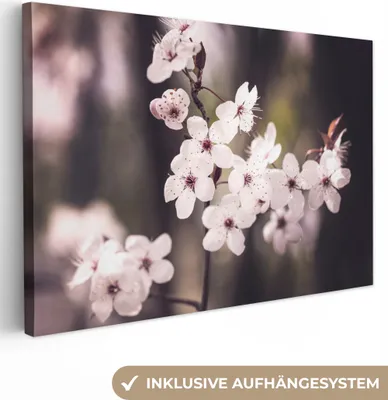Produktbild von OneMillionCanvasses® - Leinwandbilder - 140x90 cm, Blumen - Weiß - Natur - Pflanze - Blüte, Wandbilder Kunstdruck Wanddekoration - Foto auf Leinwand - Gemälde auf Holzrahmen