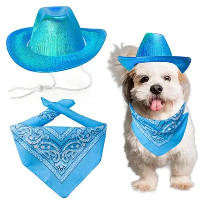 Productafbeelding van Cowboyhoed voor honden en katten met bandana, verstelbaar, blauw