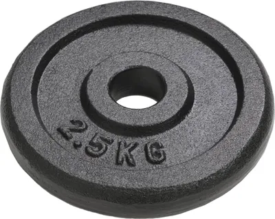 Obrázok produktu pre vidaXL Záťažové dosky 8 ks 8x2,5 kg liatina