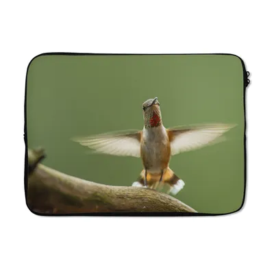 Produktbild von MuchoWow® Laptop Hülle 14 ZollKolibri - Vogel - Baum Laptoptasche - Laptoptasche - Stoßsicher - Schutzhaube