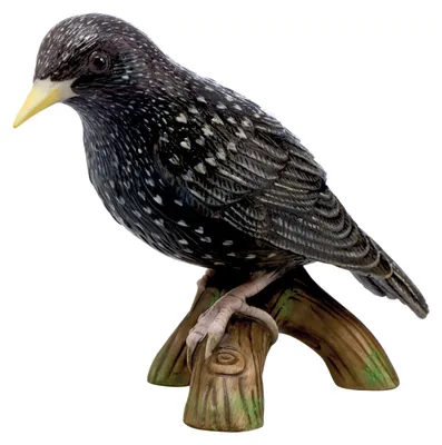 Produktbild von Goebel Vogel des Jahres 2018 - Star (Figur, Porzellan)