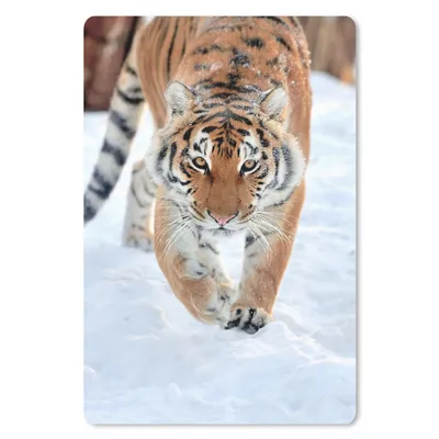 Produktbild von MuchoWow® Mauspad Mousepad Tiger - Schnee - Tiere 18x27 cm - Mousepads - Maus Mat - Pad - Mausunterlage