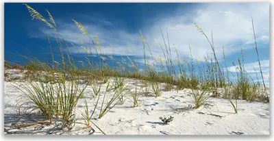 Produktbild von Glasbilder 140x70 Wandbild Druck auf Glas Strand Landschaft