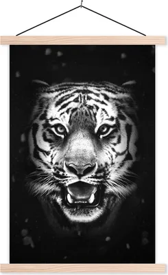 Produktbild von MuchoWow® Textilposter Tigerkopf vor schwarzem Hintergrund - schwarz und weiß 120x180 cm mit holzfarbenen Rahmen - Textil-Plakat