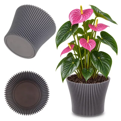 Productafbeelding van KADAX Bloempot, 15 cm, plantenbeschermer, bloemenstandaard, kunststof, grijs