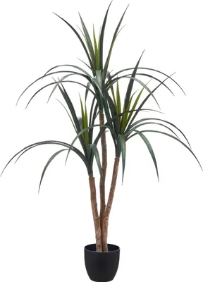 Produktbild von DRACAENA Kunstpflanze, 110 cm hoch, grün, inklusive Topf 12,5x11,5 cm