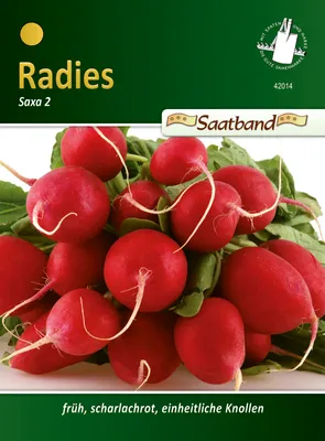 Produktbild von Radies Saxa 2 (Saatband) | Radieschensamen von N.L. Chrestensen
