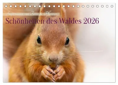 Produktbild von Schönheiten des Waldes (Tischkalender 2026 DIN A5 quer), CALVENDO Monatskalender