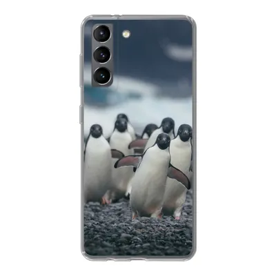 Produktbild von MuchoWow® Handyhülle Schutzhülle Hülle für Samsung Galaxy S21 Adeliepinguine am Strand Silikon Softcase Handy Hülle - Softcase