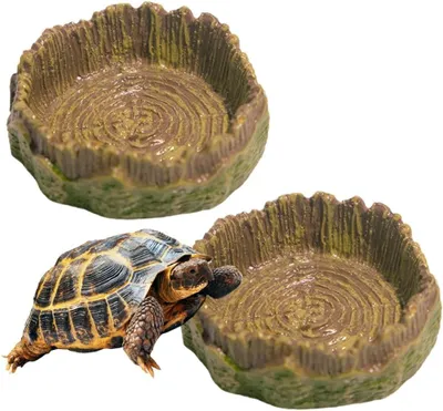 Produktbild von Wassernäpfe für Reptilien, Schildkröten, Amphibien, Eidechsen, Frösche und Geckos