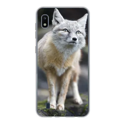 Produktbild von MuchoWow® Handyhülle Schutzhülle Hülle für Samsung Galaxy A10 Fuchs - Makro - Baum Silikon Softcase Handy Hülle - Schutzhülle