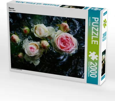 Produktbild von CALVENDO Puzzle Rosen | 2000 Teile Lege-Größe 90x67cm Foto-Puzzle für glückliche Stunden