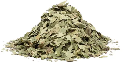 Produktbild von BIRKE Blatt (Folium betulae) – Kraut, 1000g