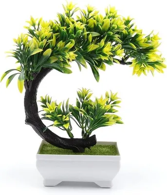 Immagine prodotto di Piccola pianta bonsai artificiale per il soggiorno o l'ufficio