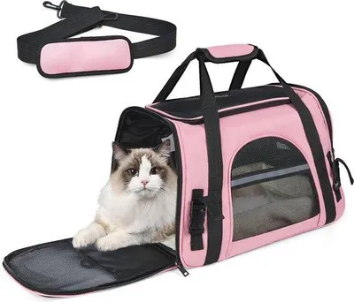 Produktbild von Famanu Transporttas für Katzen und Hunde - Atmungsaktiv, Faltbar und Sicher