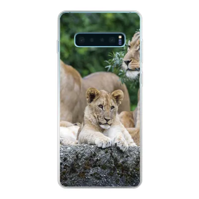 Produktbild von MuchoWow® Handyhülle Schutzhülle Hülle für Samsung Galaxy S10 Plus Löwen - Tiere - Jungtiere Silikon Softcase Handy Hülle - Schutzhülle