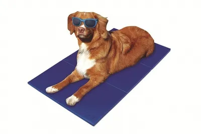 Produktbild von Pet-Star, Kühlmatte für Hunde & Katzen, 110 x 70 cm, Ungiftiges Material, Druckaktivierte Selbstkühlung, Ohne Strom, Wasser oder Gefrierfach, Faltbar