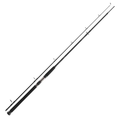 Produktbild von Daiwa Exceler Catfish Spin Welsrute Wallerrute, WG g:Bis 185, Länge m:2.40