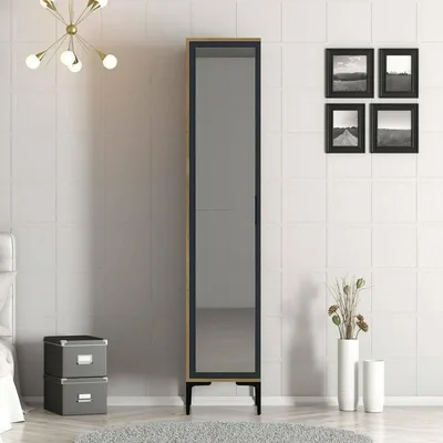 Produktbild von 1-Tür MehrzweckschrankAcrux, Multifunktionale Möbel, Schuhschrank, Besenschrank, 40x48h201 cm, Walnuss und Anthrazit
