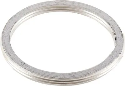 Image de Joint de collecteur d'échappement pour Suzuki LS650 Savage 86-19
