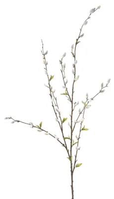 Produktbild von künstlicher Weidenkätzchenzweig weiß grün H. 120cm Emerald Kunstblumen