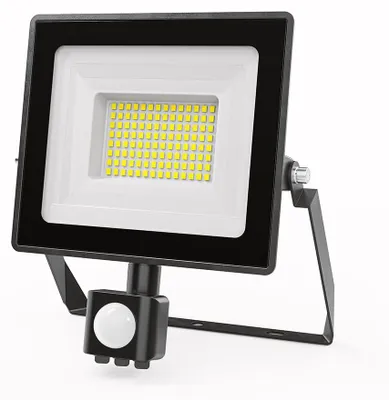 Image de HOFTRONIC - Projecteur LED avec détecteur de mouvement 50W 6500K IP65 Noir