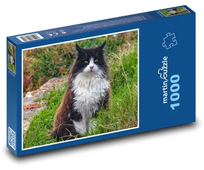 Obrázek produktu pro Puzzle 1000 Kočka v trávě - martinpuzzle