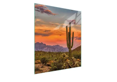 Image de Planche à découper en verre 45x52 en haut
