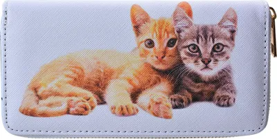 Produktbild von Clayre & Eef Brieftasche 19x10 cm Weiß Kunststoff Katzen