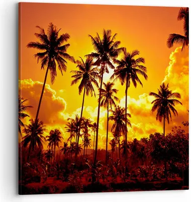 Produktbild von Bild auf Leinwand - Leinwandbild - Palmen Bäume Sonne - 70x70cm - Wand Bild - Wanddeko - Wandbilder - Leinwanddruck - Bilder - Kunstdruck - Wanddekoration - Leinwand bilder - Wandkunst - AC70x70-0187