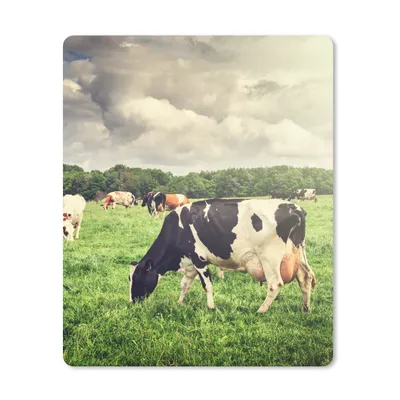 Produktbild von MuchoWow® Mauspad Mousepad Kühe - Weide - Natur - Tiere - Landschaft 30x40 cm - Mousepads - Maus Mat - Pad - Mausunterlage - Mausmatten