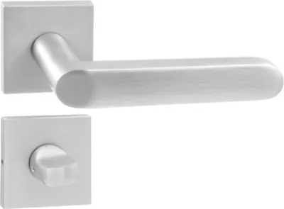 A door handle set on a white background.