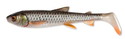Obrázek produktu pro Savage Gear 3D Whitefish Shad 2 pcs Plotice 17,5 cm 42 g Gumová nástraha