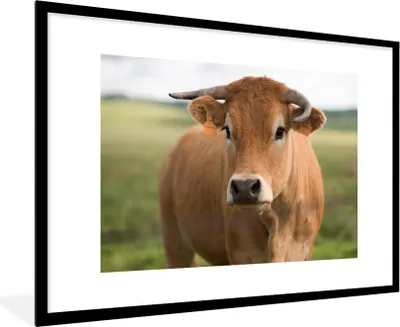 Produktbild von MuchoWow® MuchoWow® Gerahmtes Poster Kuh - Horn - Porträt 90x60 cm - Poster mit zchwarzem Bilderrahmen - Wanddekoration - Fotos