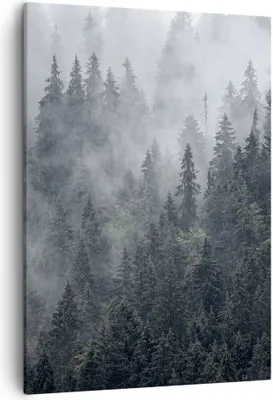 Produktbild von Bild auf Leinwand - Leinwandbild - Einteilig - Wald Baum Natur - 50x70cm - Wand Bild - Wanddeko - Wandbilder - Leinwanddruck - Kunstdruck - Wanddekoration - Leinwand bilder - Wandbild - PA50x70-4074