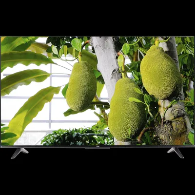 Produktbild von TCL T69C 50T69C, 127 cm (50"), 3840 x 2160 Pixel, LCD, Smart-TV, WLAN, Schwarz