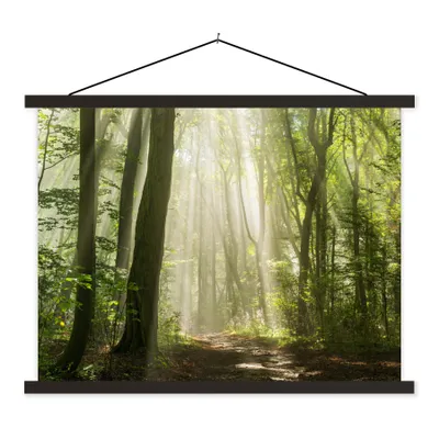 Produktbild von MuchoWow® Textilposter Wald - Licht - Natur - Landschaft 40x30 cm mit schwarzem Rahmen - Dekorationen