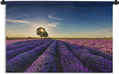 Produktbild von MuchoWow® Wandteppich Wandbehang Lavendel - Sonne - Baum - Blumen - Lila 90x60 cm Tapisserie Dekoration Wandtuch - Wandskulpturen - Bildteppich