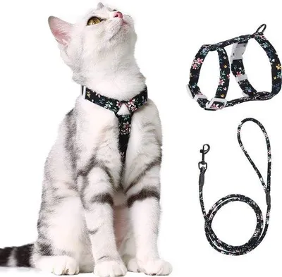 Produktbild von Kattentuig mit Riemen, Halsband für Katzen mit Sicherheitsleine, unzerreißbar, verstellbar, für kleine und mittelgroße Katzen