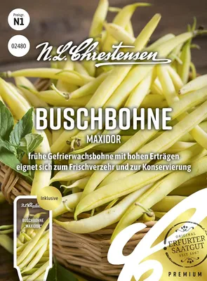 Produktbild von Buschbohne Maxidor | Buschbohnensamen von N.L. Chrestensen