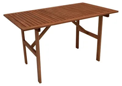 Produktbild von Gartentisch 120 x 73,5 x 70 cm Eukalyptus