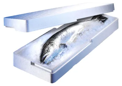 Produktbild von 120x Isolierboxen für den Fischversand aus Styropor EPS 650x230x96mm 8 Liter