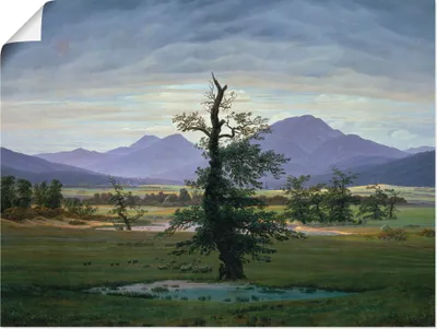 Produktbild von ARTland Poster Der einsame Baum Größe: 80x60 cm