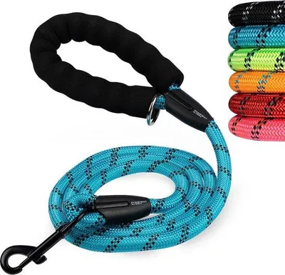 Produktbild von Famanu Hundeleine 180 cm - reflektierend, gepolstert, blau
