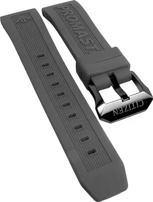 Produktbild von Citizen Eco Drive  Uhrenarmband 22mm Kunststoff grau BN4044 CC3060