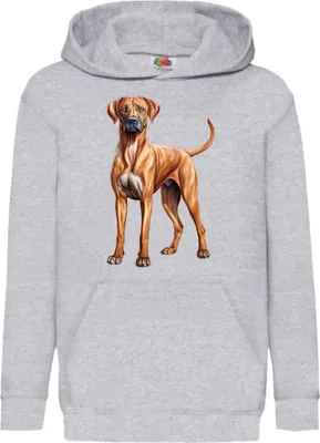 Obrázok produktu pre Detská Mikina S Kapucňou Dogs Breeds Rhodesian Ridgeback Dog Breed 005, 9-11 Jahr - 140 / Heather šedá