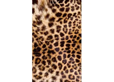 Obrázok produktu pre Dimex Fototapeta MS-2-0184 Leopardia koža 150 x 250 cm