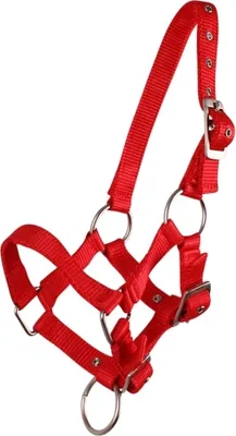 Produktbild von Fohlenhalfter Halfter Fohlen Nylonhalfter QHP 4 Fohlengrößen 6 Farben Farbe - rot Größe - Pony Fohlen