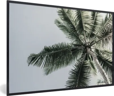 Produktbild von MuchoWow® Gerahmtes Poster Palme - Tropisch - Sommer 90x60 cm - Poster mit Schwarzem Bilderrahmen Wandposter Rahmen Foto Bilder - Fotorahmen - Foto-Plakat