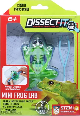 Produktbild von DISSECT-IT: Einen Frosch mit einer Lupe sezieren